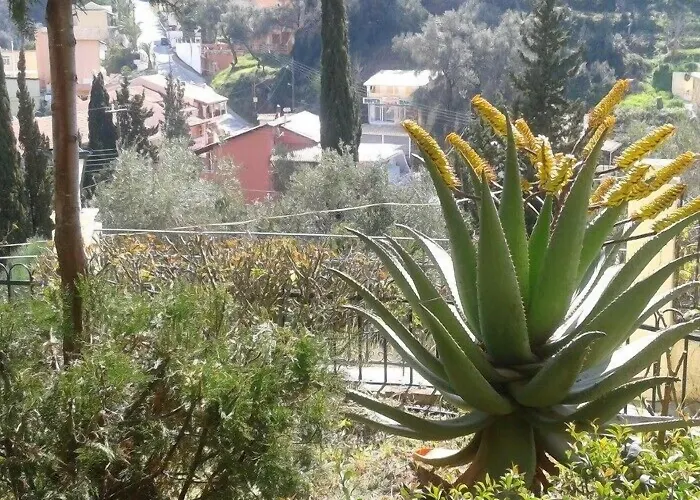 Alonakia 2* Agios Gordios (Corfu)