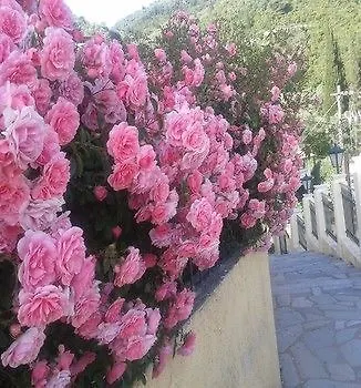 Alonakia Agios Gordios (Corfu)