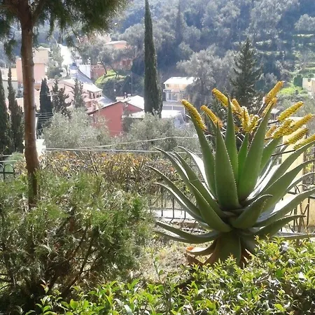 Alonakia 2* Agios Gordios (Corfu)