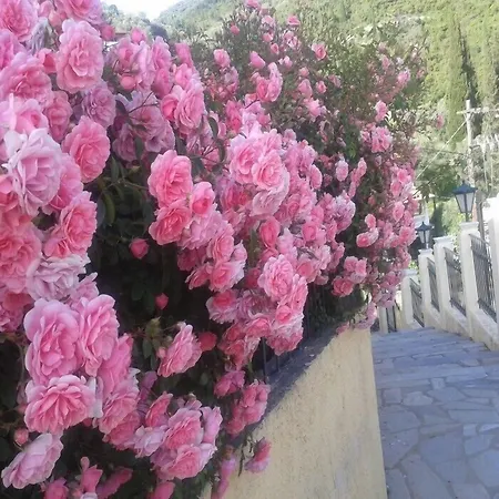 Hotel Alonakia Agios Gordios (Corfu)