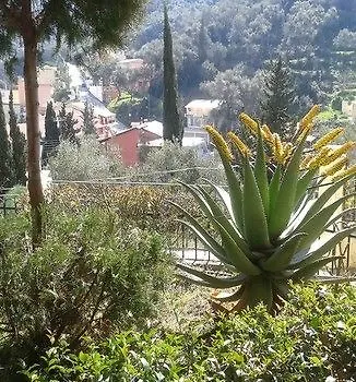 Alonakia Hotel Hotel