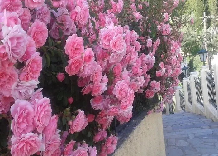 Hotel Alonakia Agios Gordios (Corfu)